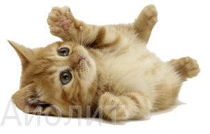 усыпление домашних животных